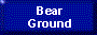 Bear_Ground.GIF (1492 bytes)