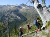 Whitebark Pine monitoring site
